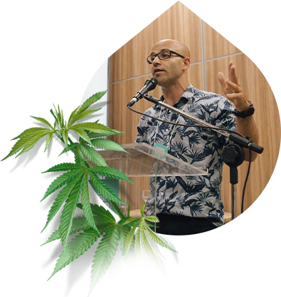 Tratamento com cannabis medicinal